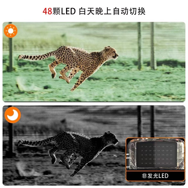 HOT SALE DL001 Hunting Camera  - đánh giá và giá Hunting Outdoor Camera