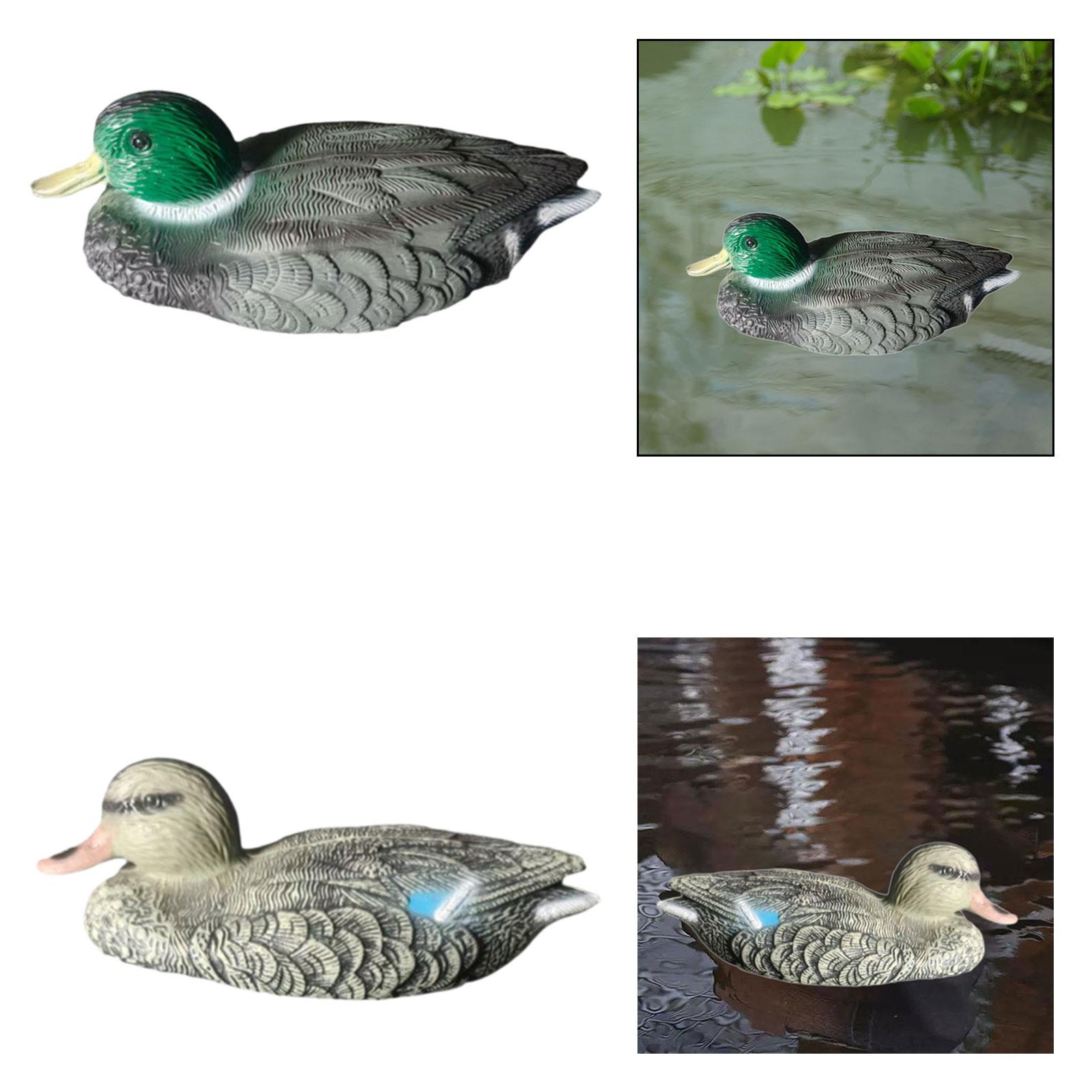 Floating Duck Decoy Realistic  - đánh giá và giá Outdoor Hunting Place
