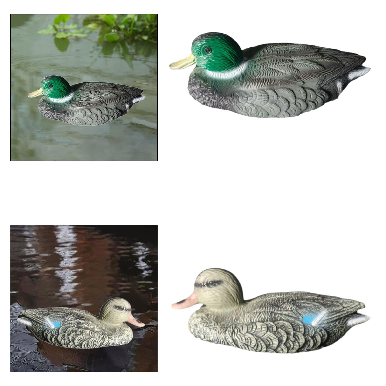Floating Duck Decoy Realistic  - đánh giá và giá Outdoor Hunting Place