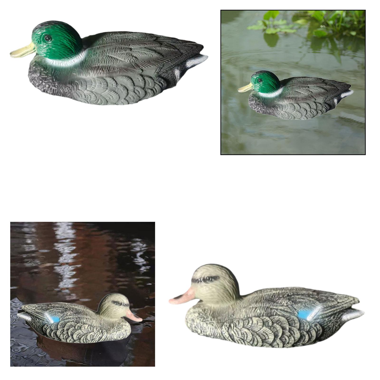 Floating Duck Decoy Realistic  - đánh giá và giá Outdoor Hunting Place
