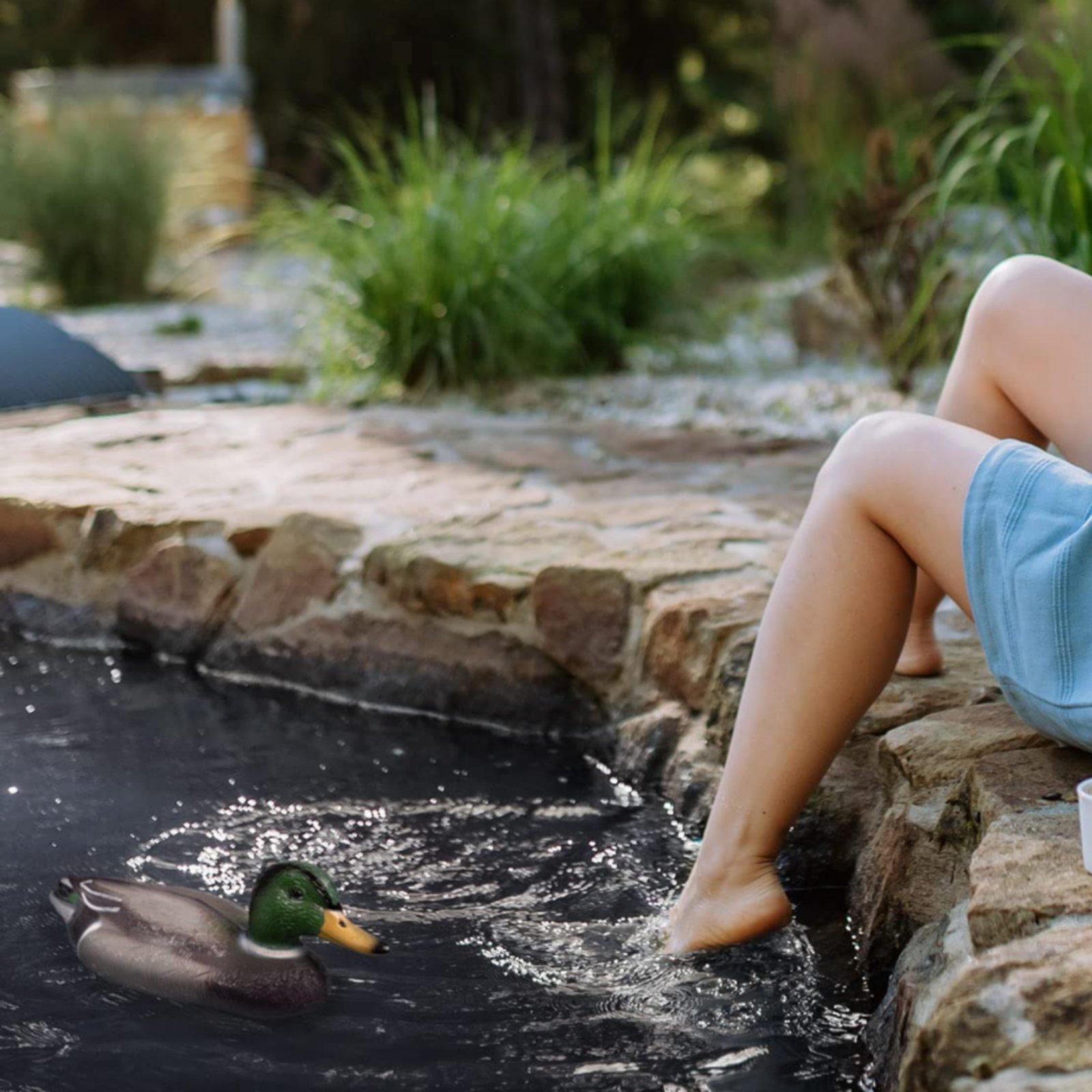 Floating Duck Decoy Realistic  - đánh giá và giá Hunting & Outdoor As