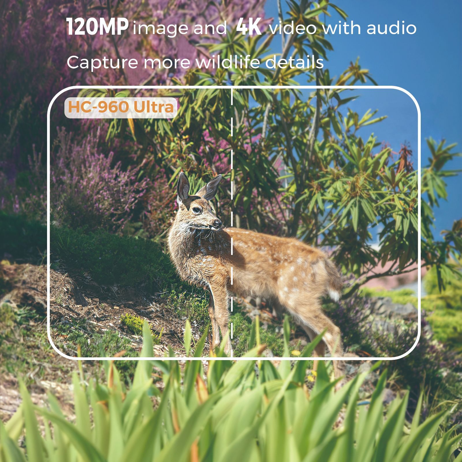 4G outdoor wildlife infrared c - đánh giá và giá Hunting Outdoor Camera